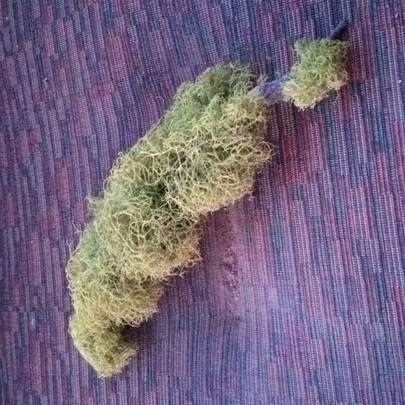 New! Never Used! Moss Branches. 11 Inches Long - Picture 3 of 6